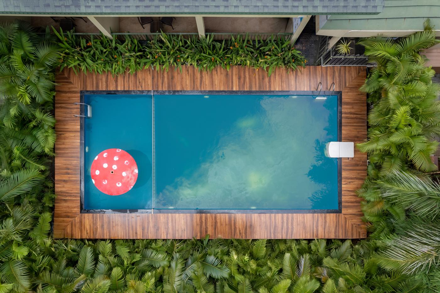 The pool seen straight from above, wooden deck and palms around it